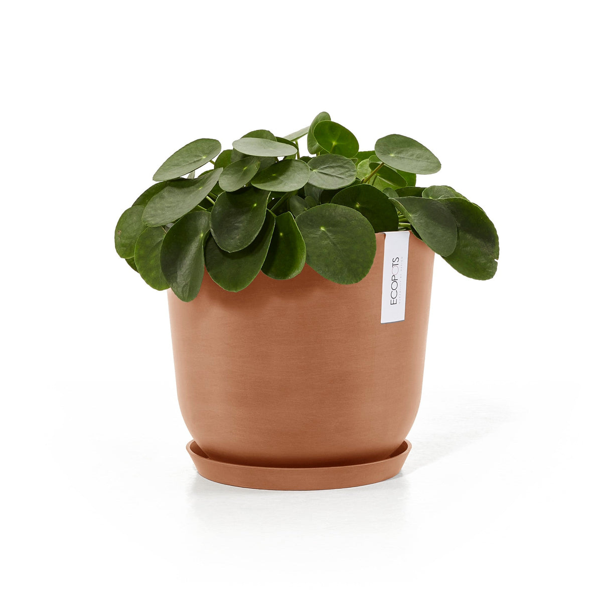 Kukkaruukku Oslo 20cm terracotta – aluslautasen ja kasvin kanssa