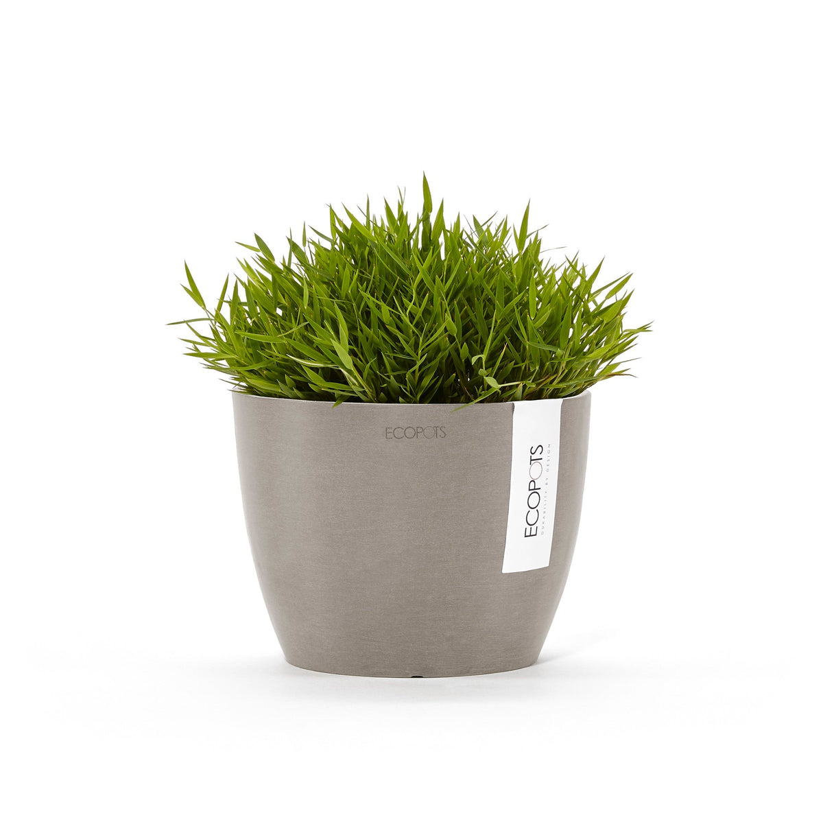 Kukkaruukku Tukholma 14cm taupe – kasvin kanssa 3