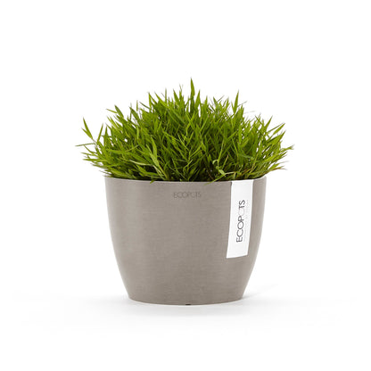 Kukkaruukku Tukholma 14cm taupe – kasvin kanssa 3