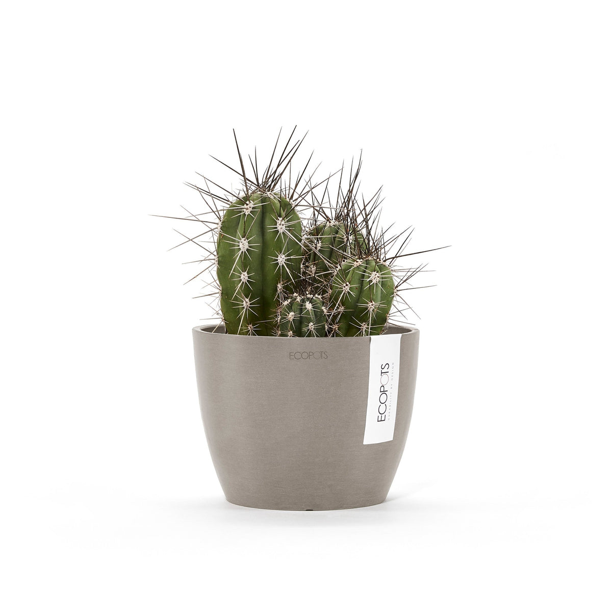 Kukkaruukku Tukholma 18cm taupe – kasvin kanssa 2