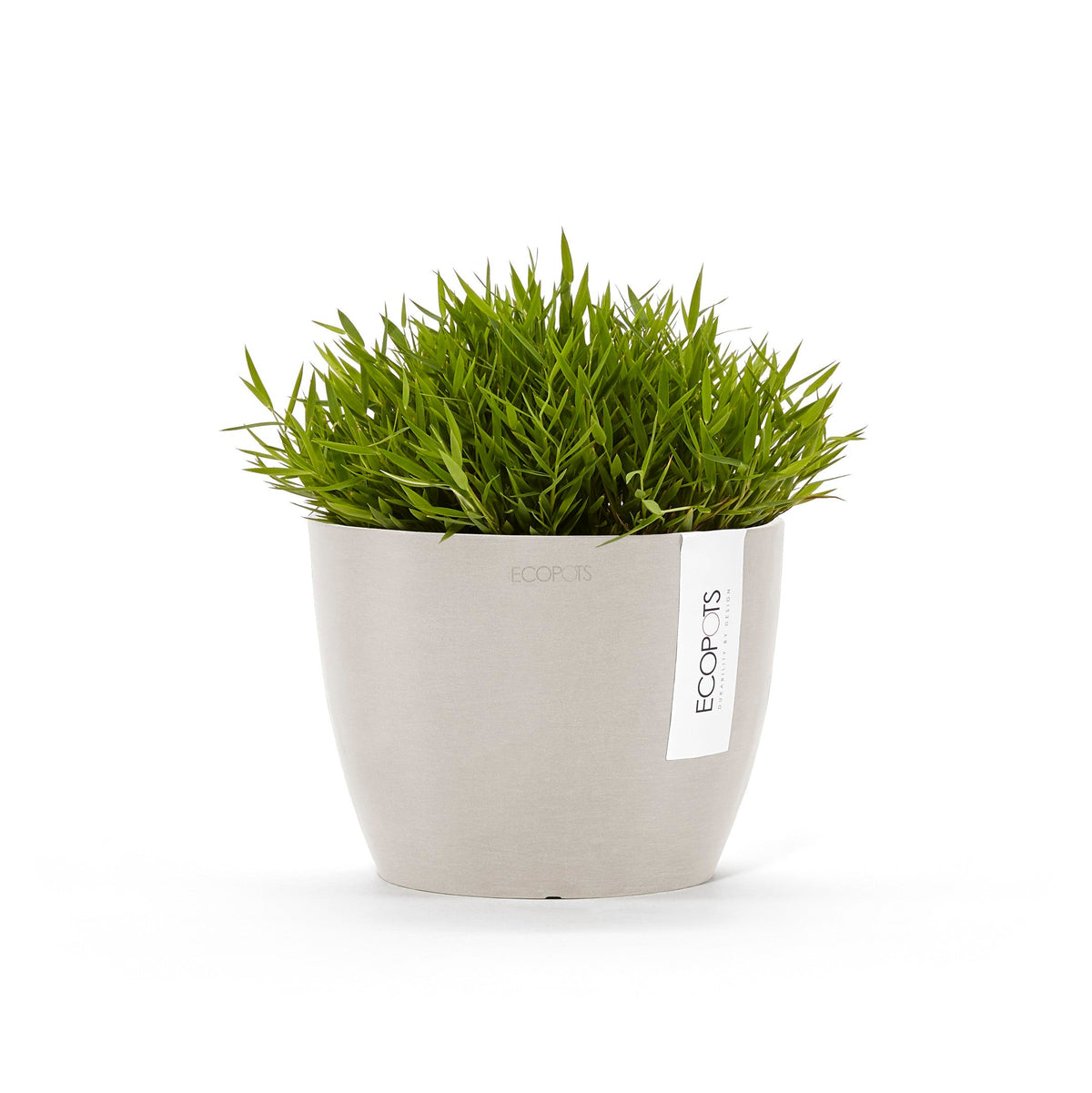 Kukkaruukku Tukholma 16cm hiekka – kasvin kanssa 3