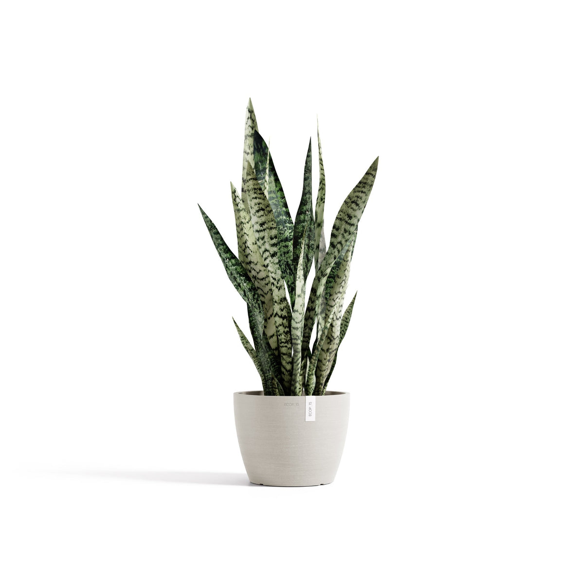 Kukkaruukku Tukholma 22cm hiekka – kasvin kanssa