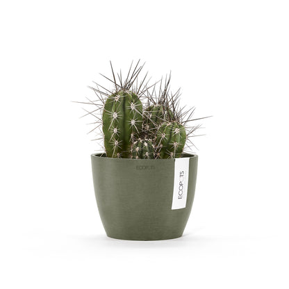 Kukkaruukku Tukholma 16cm kaki – kasvin kanssa 2