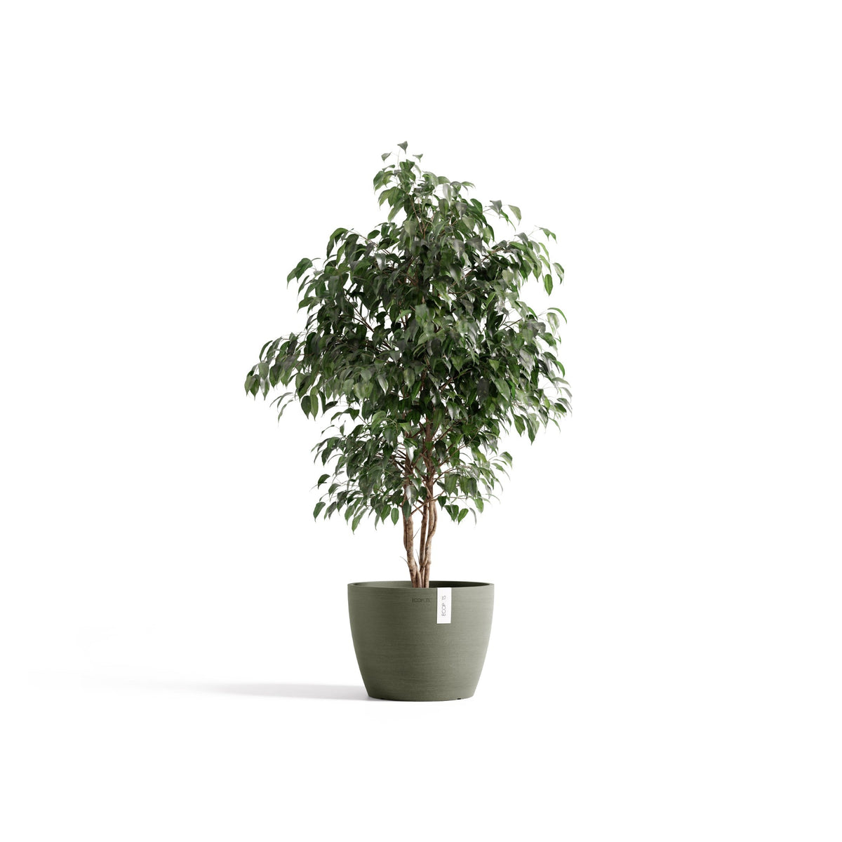 Kukkaruukku Tukholma 31cm kaki – kasvin kanssa