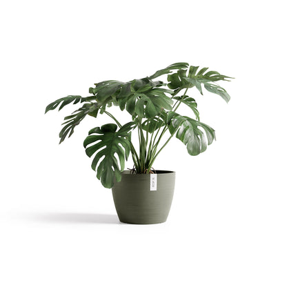 Kukkaruukku Tukholma 45cm kaki – kasvin kanssa