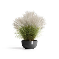 Lillepott Oslo madal 40cm tumehall