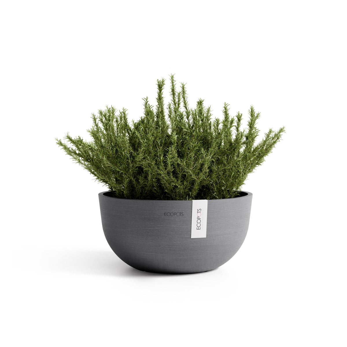 Kukkaruukku Oslo matala 30cm harmaa – kasvin kanssa