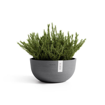 Kukkaruukku Oslo matala 30cm harmaa – kasvin kanssa