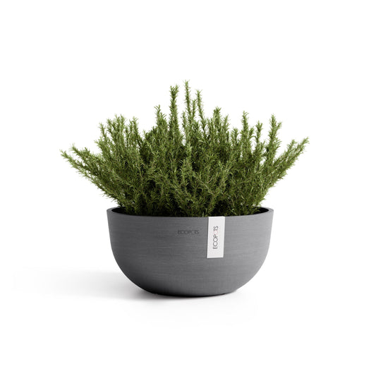 Kukkaruukku Oslo matala 30cm harmaa – kasvin kanssa