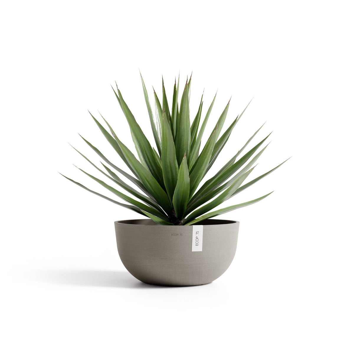 Kukkaruukku Oslo matala 50cm taupe – kasvin kanssa