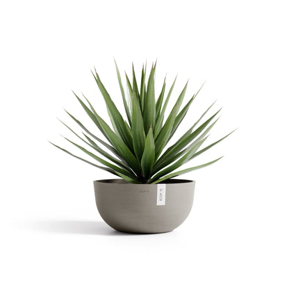 Kukkaruukku Oslo matala 50cm taupe – kasvin kanssa