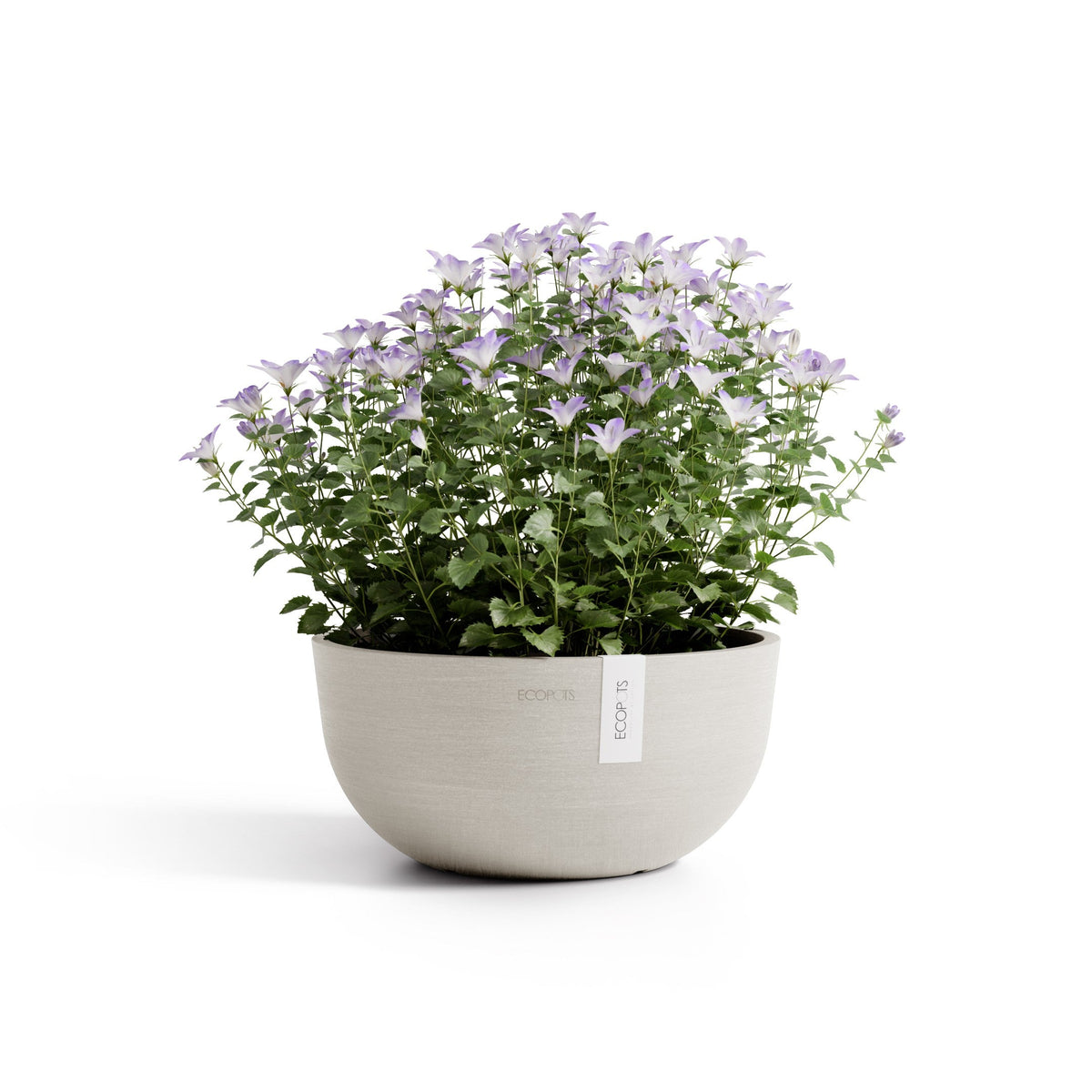 Kukkaruukku Oslo matala 25cm hiekka – kasvin kanssa