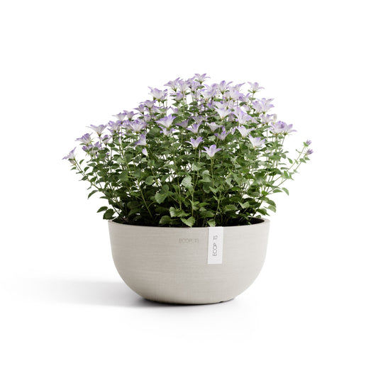 Kukkaruukku Oslo matala 25cm hiekka – kasvin kanssa