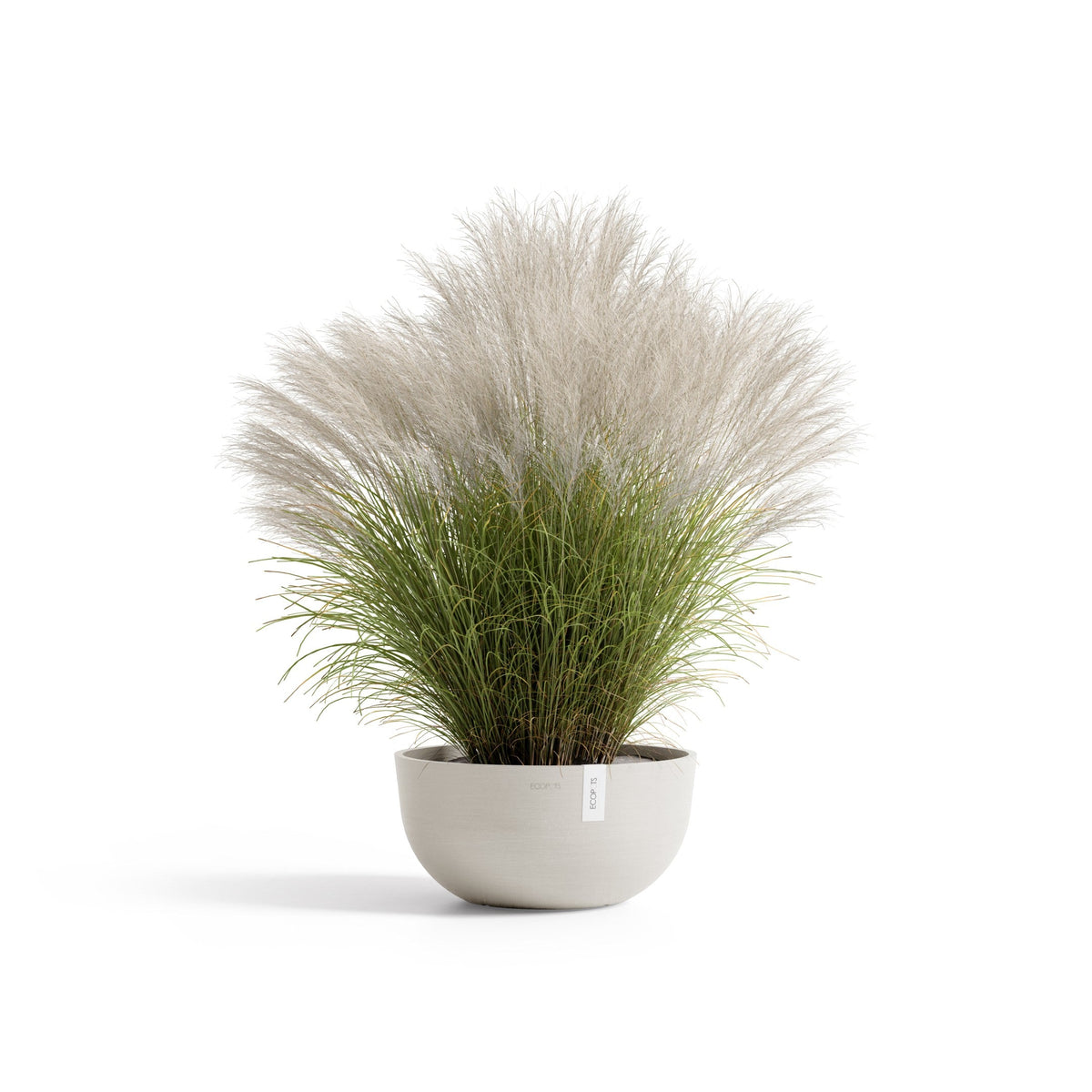 Kukkaruukku Oslo matala 40cm hiekka – kasvin kanssa