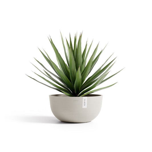 Kukkaruukku Oslo matala 50cm hiekka – kasvin kanssa