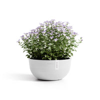 Lillepott Oslo madal 25cm valge