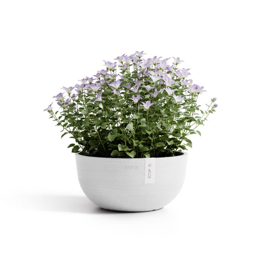 Kukkaruukku Oslo matala 25cm valkoinen – kasvin kanssa