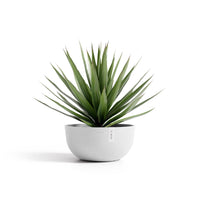 Kukkaruukku Oslo matala 50cm valkoinen