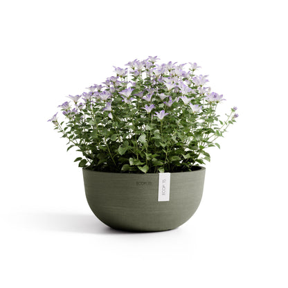 Kukkaruukku Oslo matala 25cm kaki – kasvin kanssa