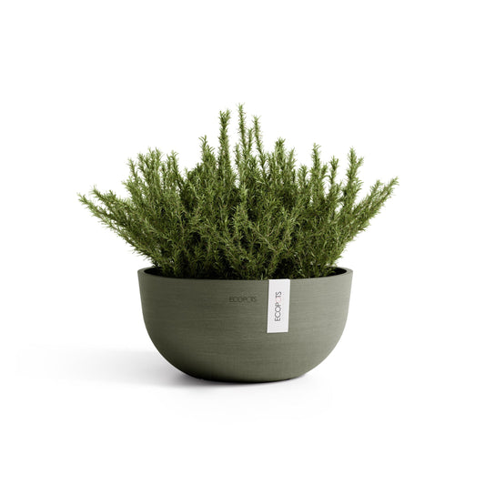 Kukkaruukku Oslo matala 30cm kaki – kasvin kanssa