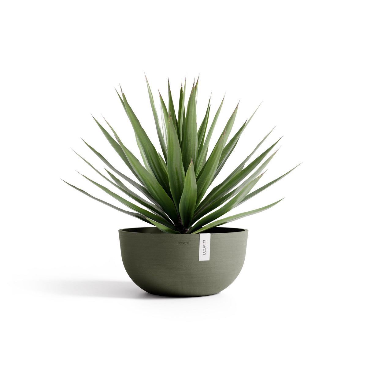 Kukkaruukku Oslo matala 50cm kaki – kasvin kanssa