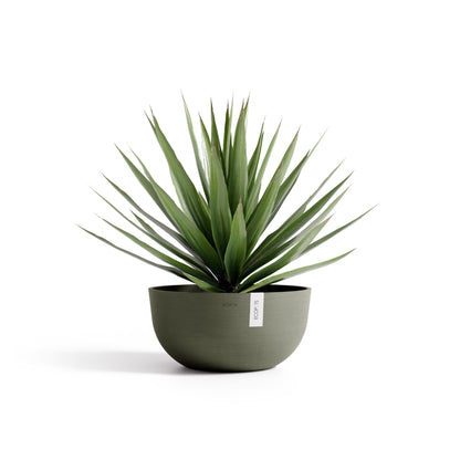 Kukkaruukku Oslo matala 50cm kaki – kasvin kanssa