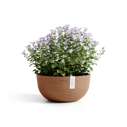Kukkaruukku Oslo matala 25cm terracotta – kasvin kanssa