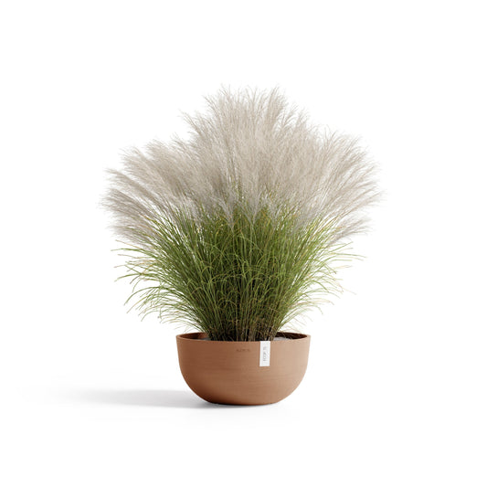 Kukkaruukku Oslo matala 40cm terracotta – kasvin kanssa