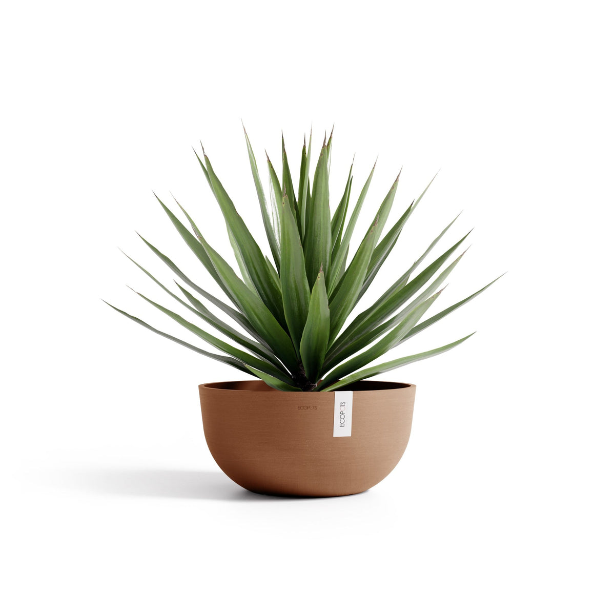Kukkaruukku Oslo matala 50cm terracotta – kasvin kanssa