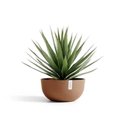 Kukkaruukku Oslo matala 50cm terracotta – kasvin kanssa