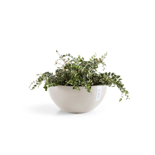 Kukkaruukku Brysseli 35cm hiekka – kasvin kanssa