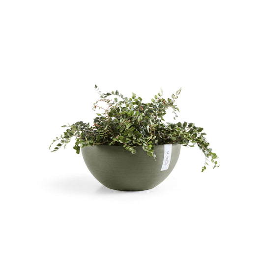 Kukkaruukku Brysseli 35cm kaki – kasvin kanssa