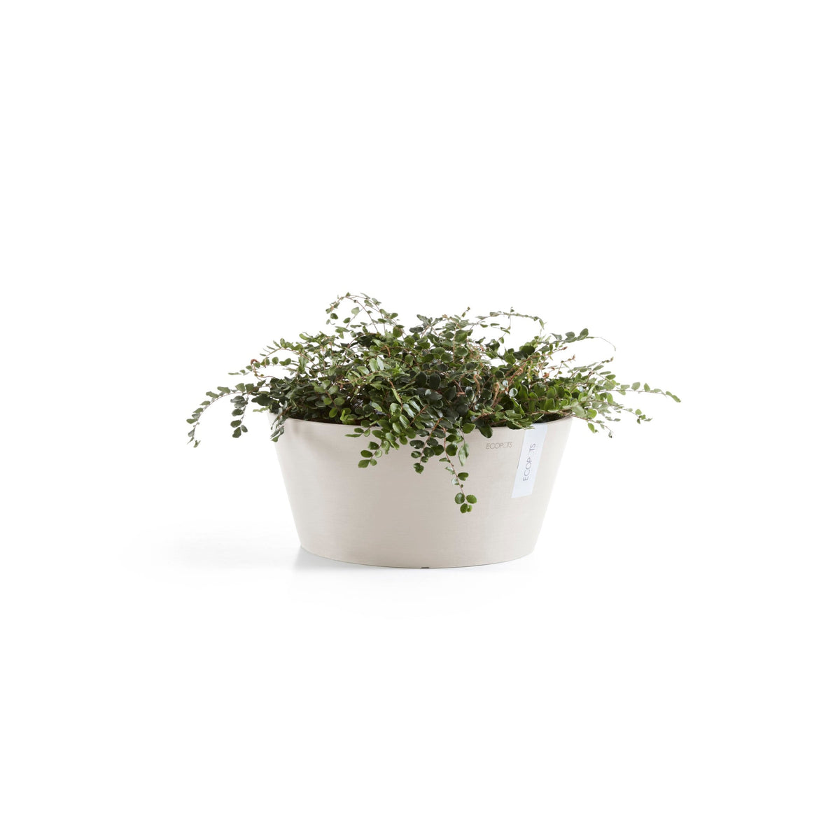Kukkaruukku Frankfurt 40cm hiekka – kasvin kanssa 2