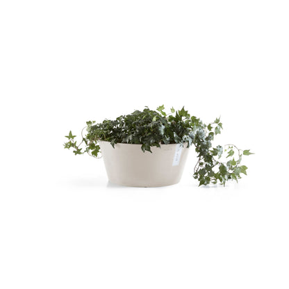 Kukkaruukku Frankfurt 40cm hiekka – kasvin kanssa 3