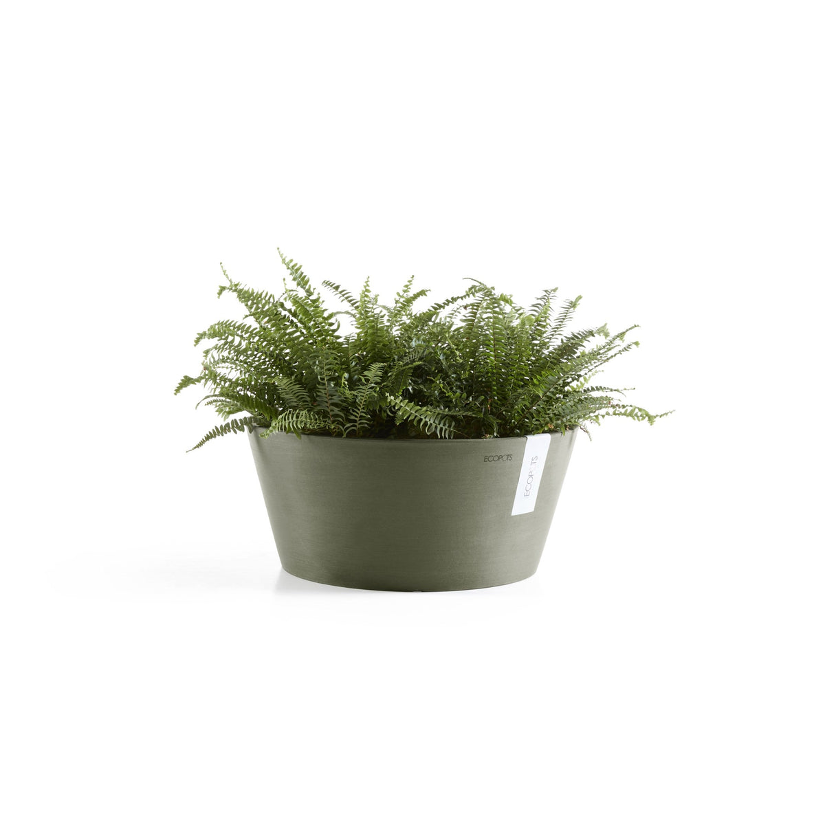 Kukkaruukku Frankfurt 30cm kaki – kasvin kanssa