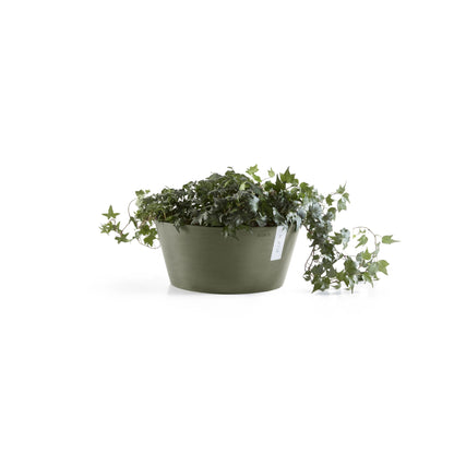 Kukkaruukku Frankfurt 30cm kaki – kasvin kanssa 3