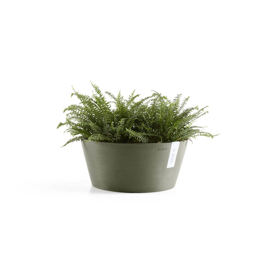 Kukkaruukku Frankfurt 40cm kaki – kasvin kanssa