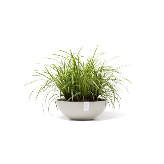 Kukkaruukku Vienna 50cm hiekka – kasvin kanssa