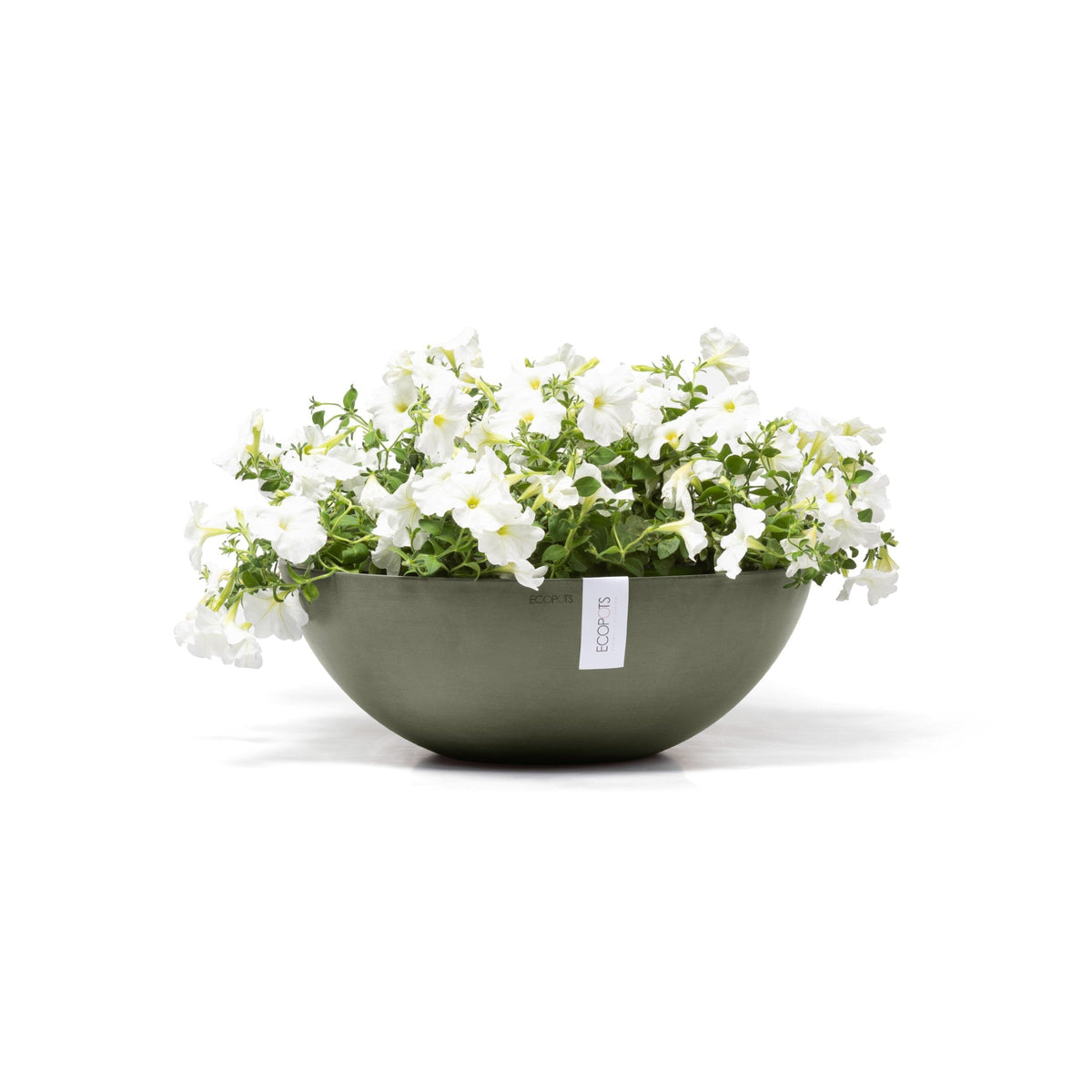 Kukkaruukku Vienna 50cm kaki – kasvin kanssa 3