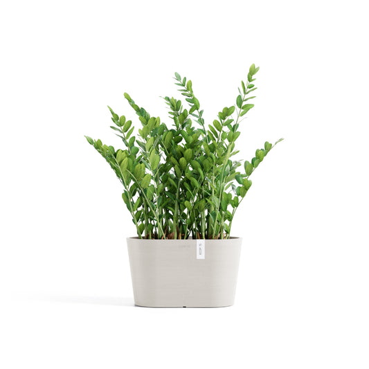 Kukkaruukku Tokio 30cm hiekka – kasvin kanssa