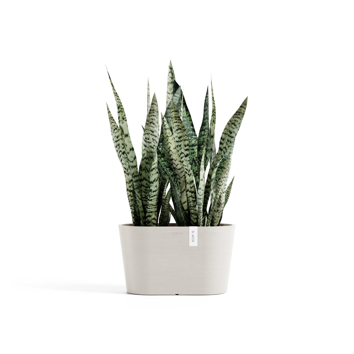 Kukkaruukku Tokio 30cm hiekka – kasvin kanssa 2