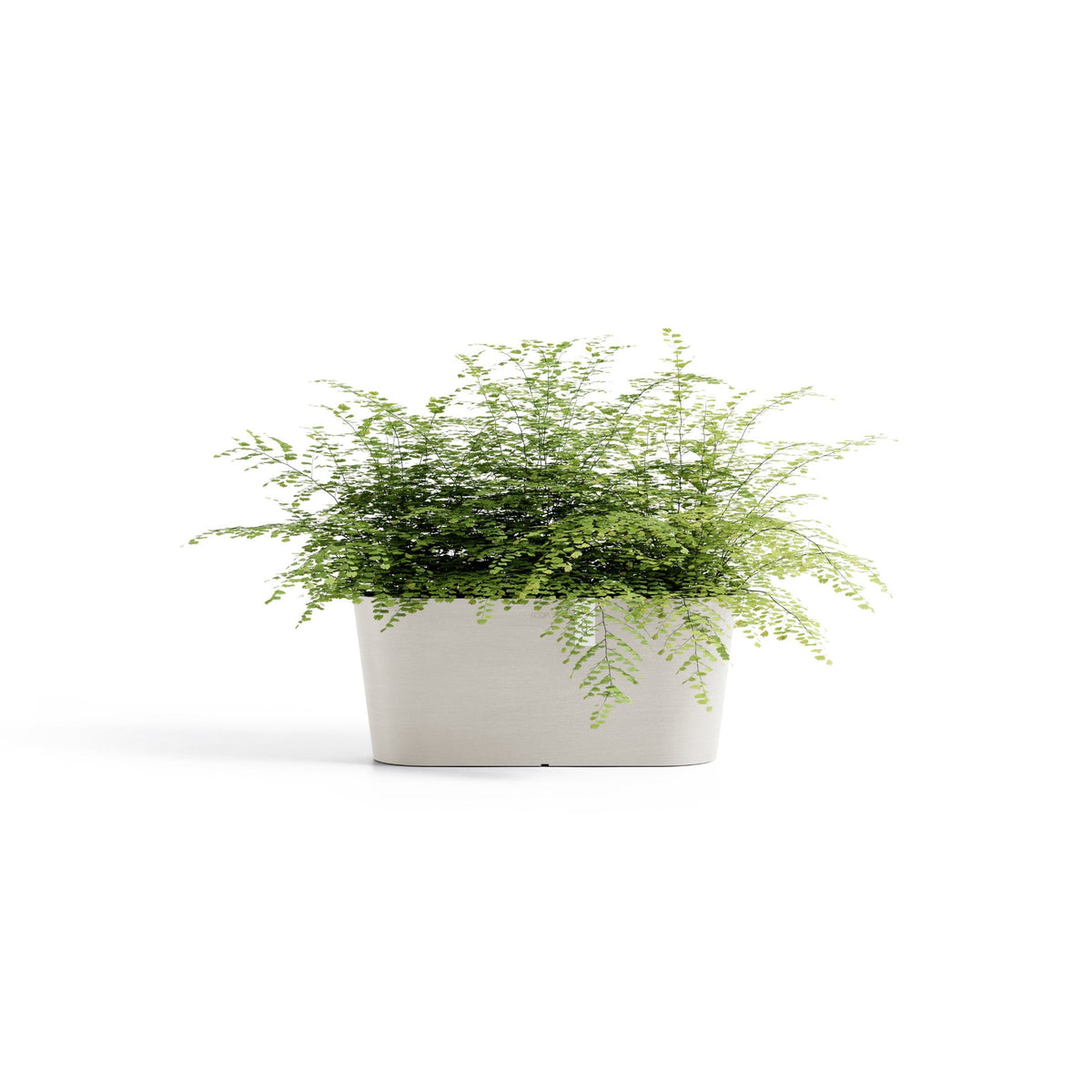 Kukkaruukku Tokio 40cm hiekka – kasvin kanssa