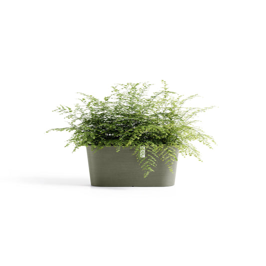 Kukkaruukku Tokio 40cm kaki – kasvin kanssa