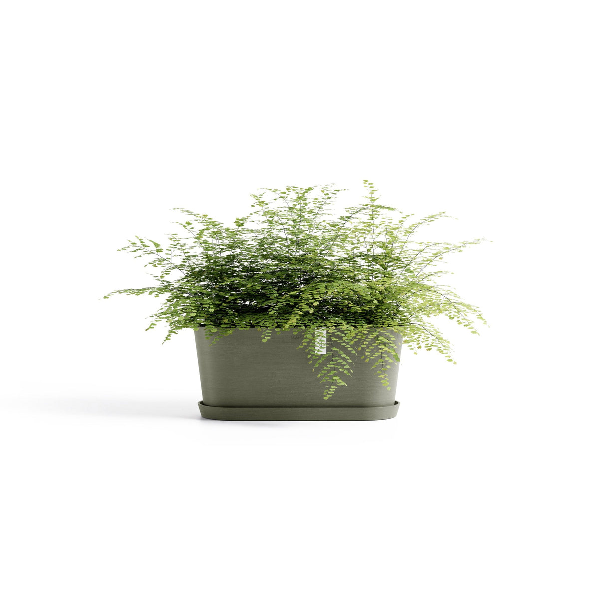 Kukkaruukku Tokio 40cm kaki – aluslautasen ja kasvin kanssa