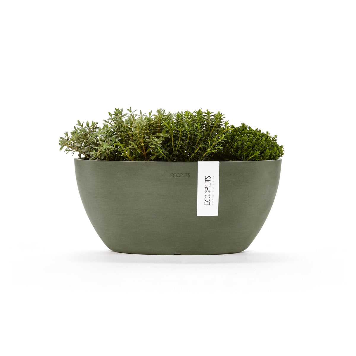 Kukkaruukku Sofia 30cm kaki – kasvin kanssa 2