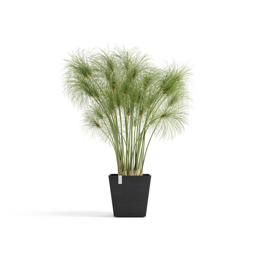 Kukkaruukku Rotterdam design 25cm tummanharmaa – kasvin kanssa