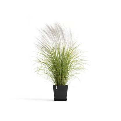 Kukkaruukku Rotterdam design 35cm tummanharmaa – kasvin kanssa 2