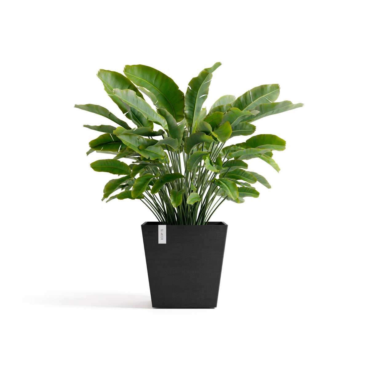 Kukkaruukku Rotterdam design 45cm tummanharmaa – kasvin kanssa