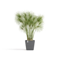 Kukkaruukku Rotterdam design 25cm harmaa