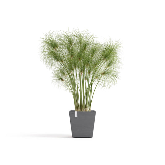 Kukkaruukku Rotterdam design 25cm harmaa – kasvin kanssa